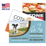 Business Card Magnet - Die cut Full Color